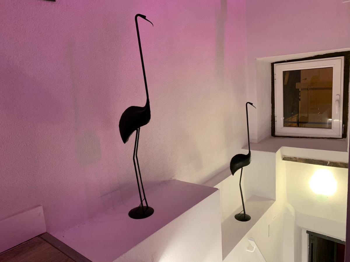 Casita Del Flamingo En Casco Historico Villa Alicante Bagian luar foto